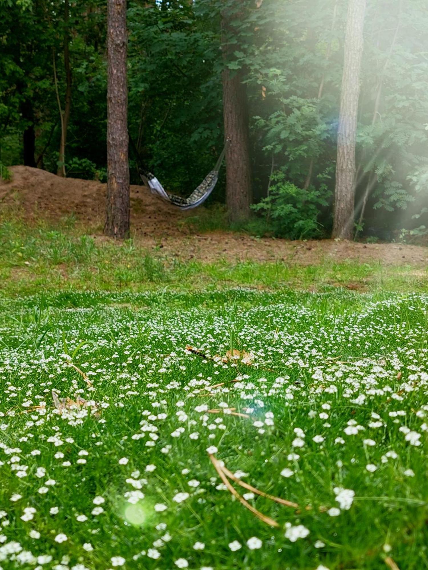 Forrest Style Pokoje Goscinne Warsaw Exterior photo